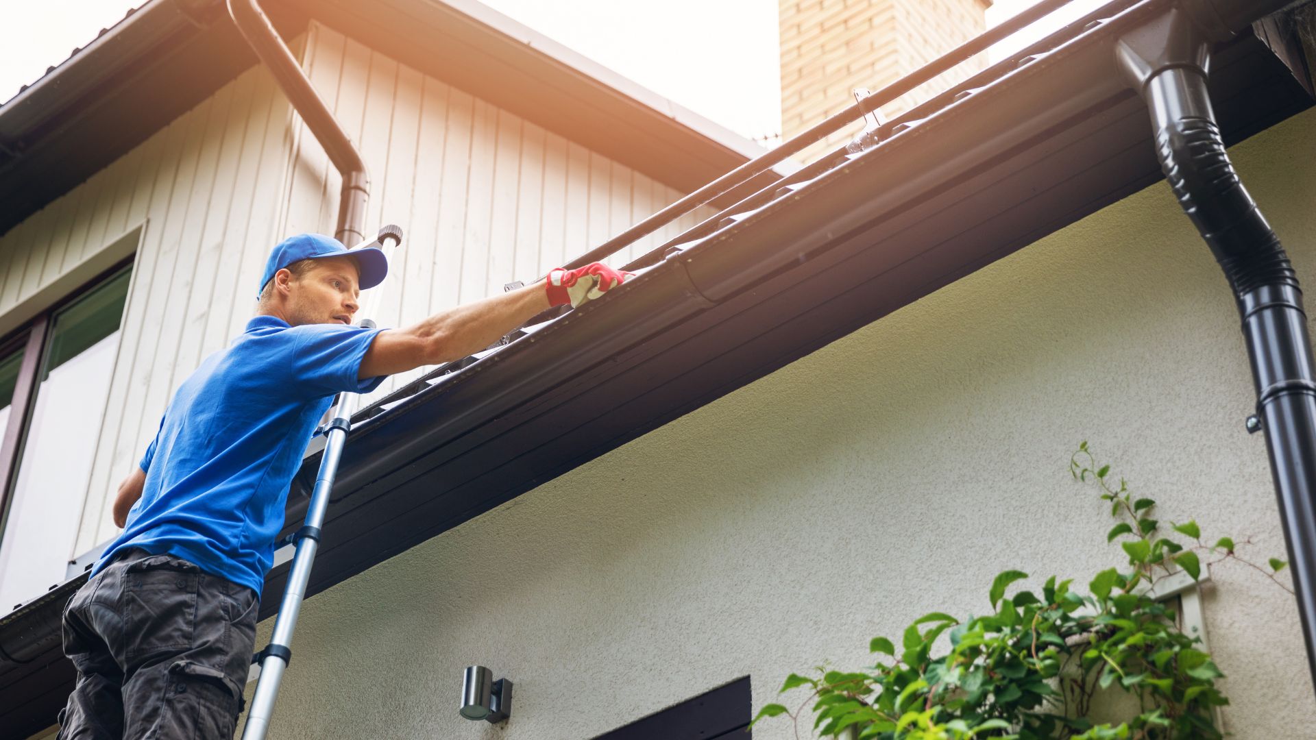 Window Washing and Gutter Cleaning | Window Clean Services