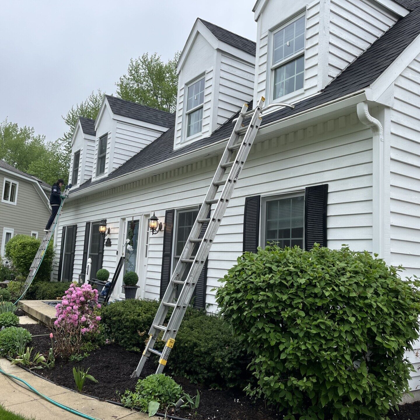 Who we are 3 Westmont Home Clean delivers sparkling windows and clear gutters. Protect your home from water damage with professional