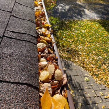 Gutter Cleaning - before