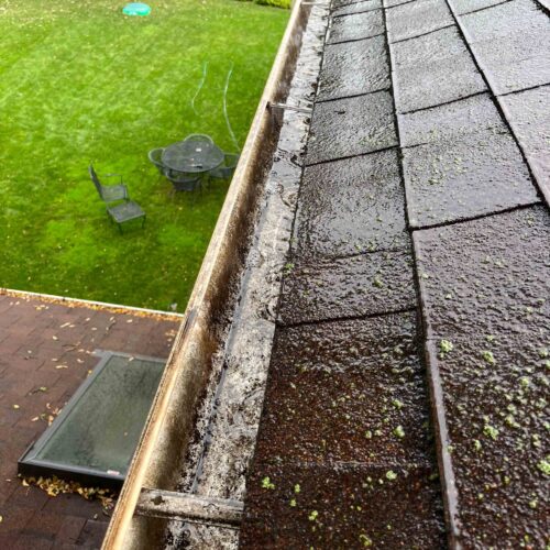 Gutter Guard Clening