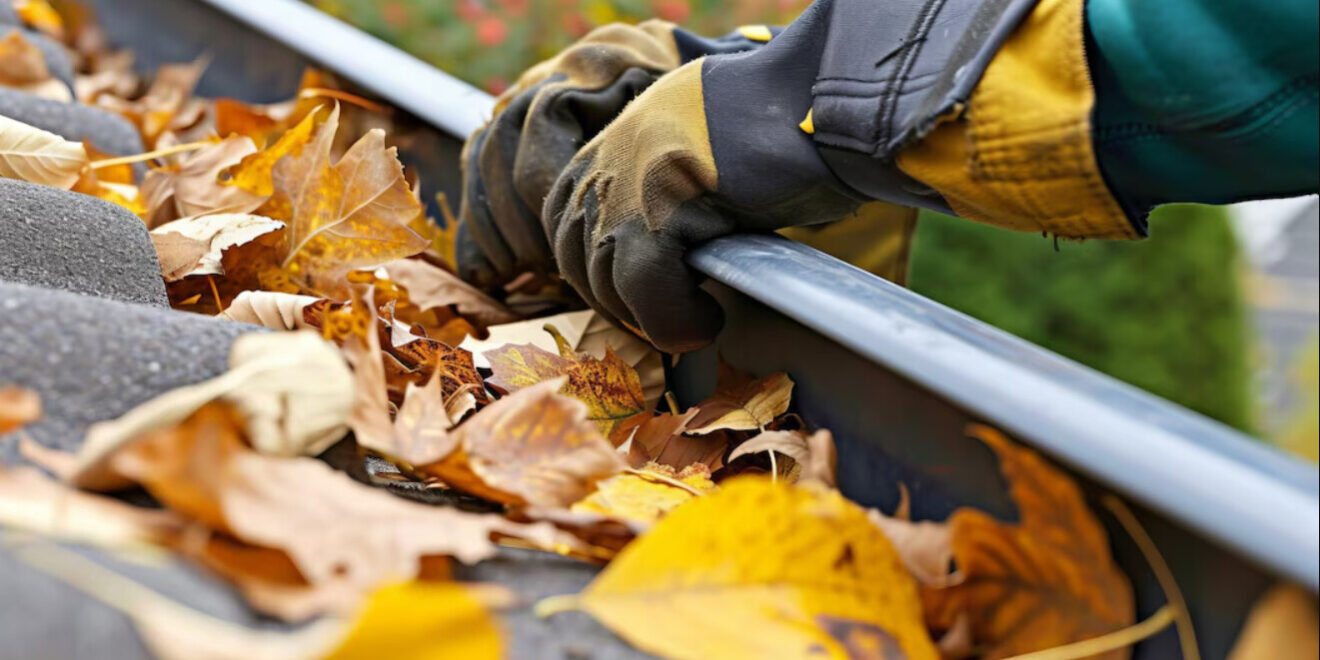 gutter cleaning