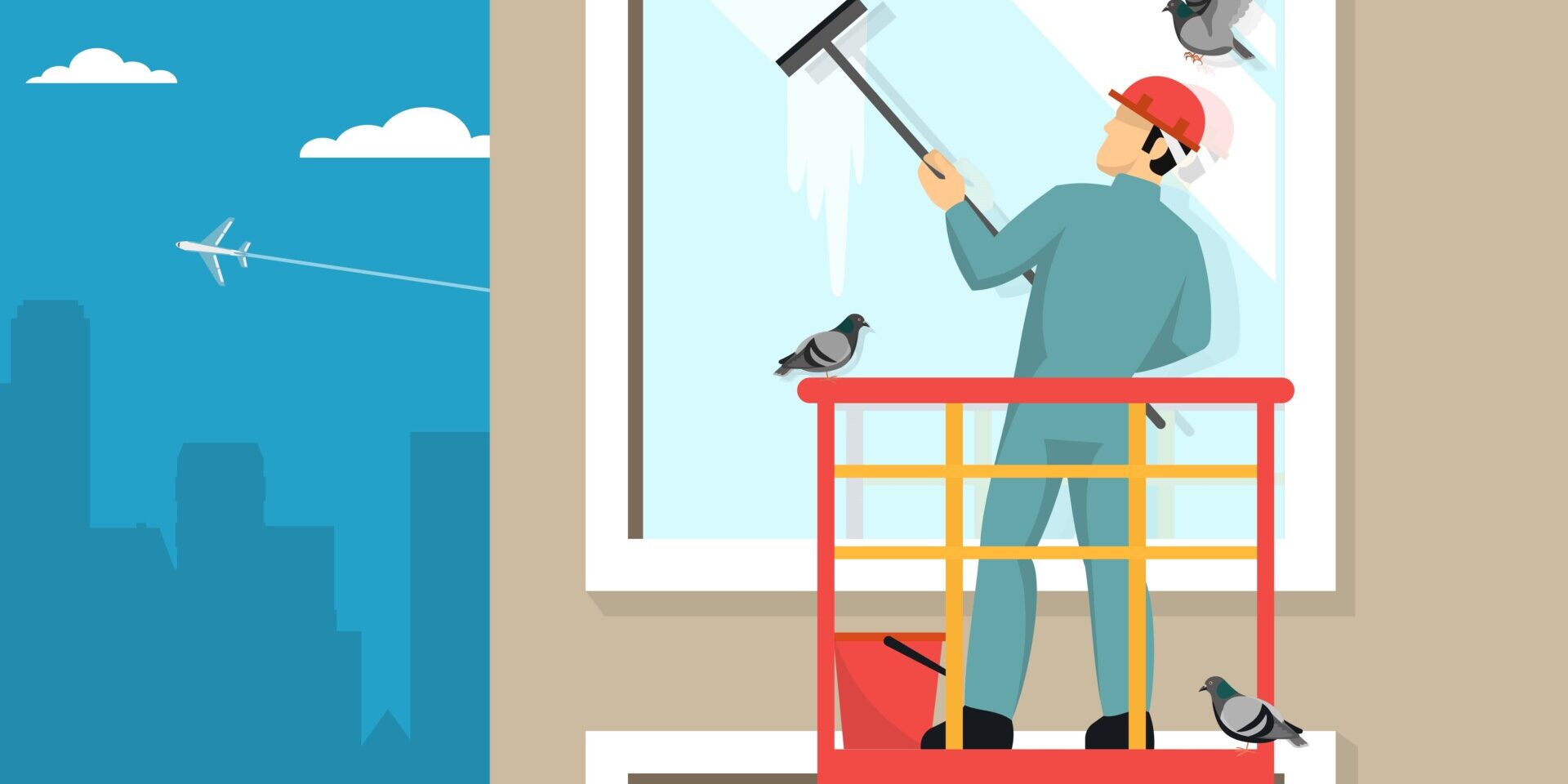 professional window cleaning