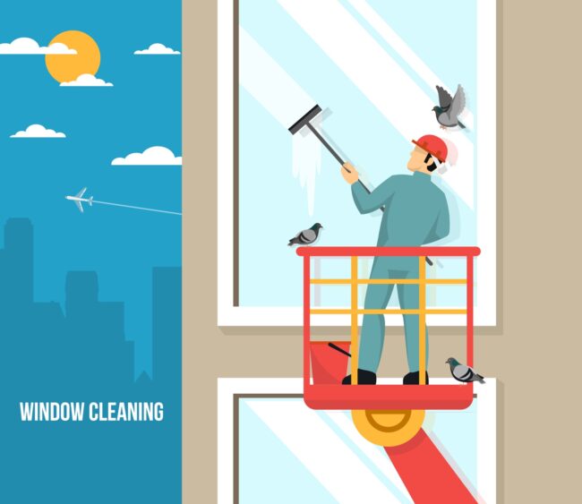 professional window cleaning