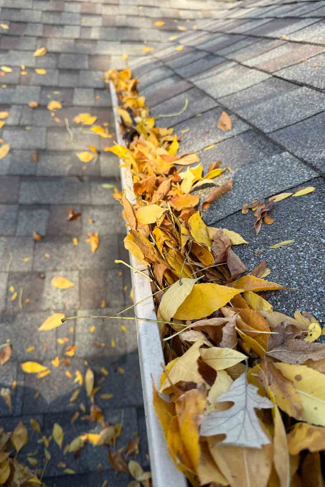 gutter cleaning Bolingbrook Plainfield IL backyard roof gutter cleaning