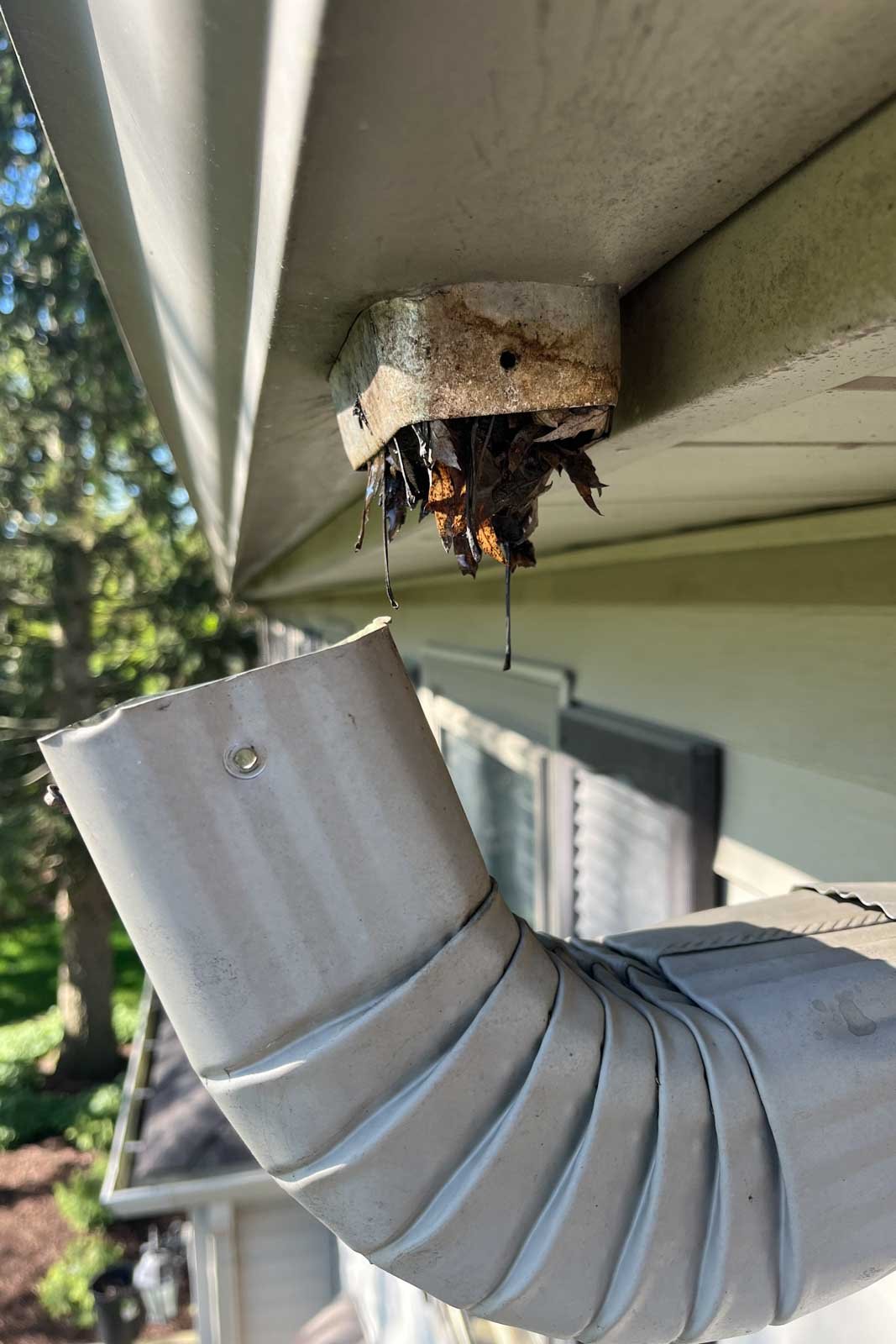 gutter cleaning Bolingbrook Plainfield IL fence side gutter cleaning