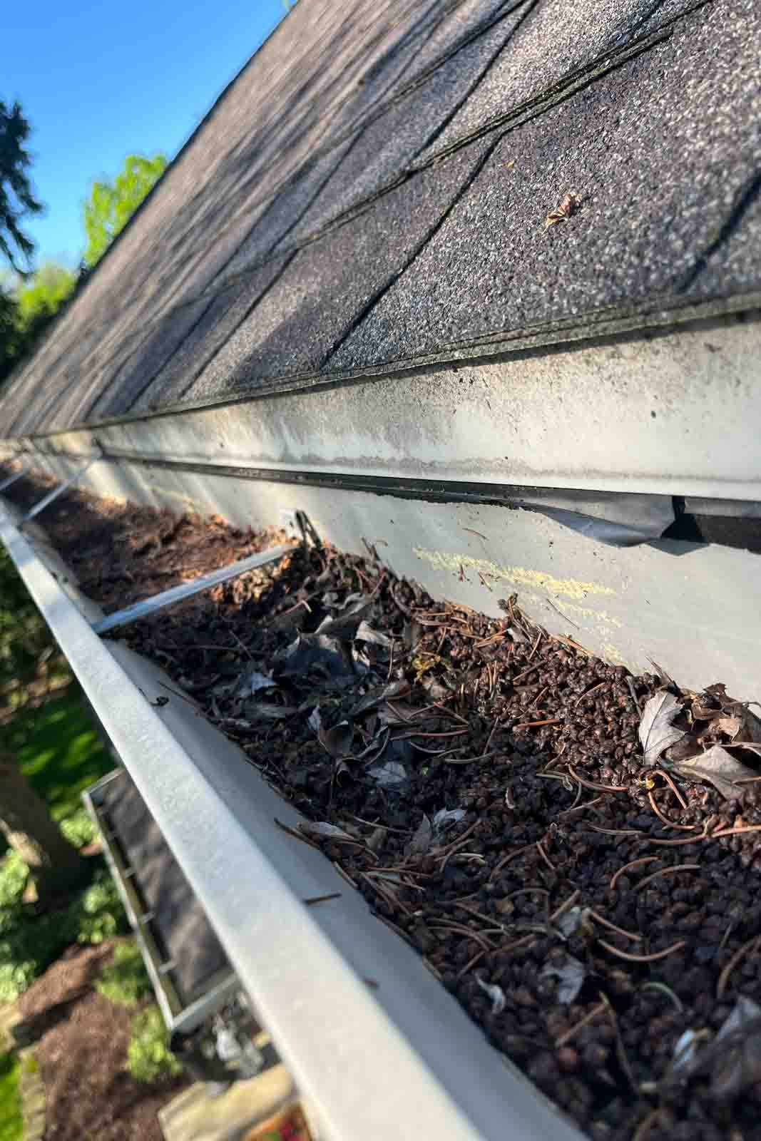 gutter cleaning Aurora Bolingbrook IL tree debris removal gutter