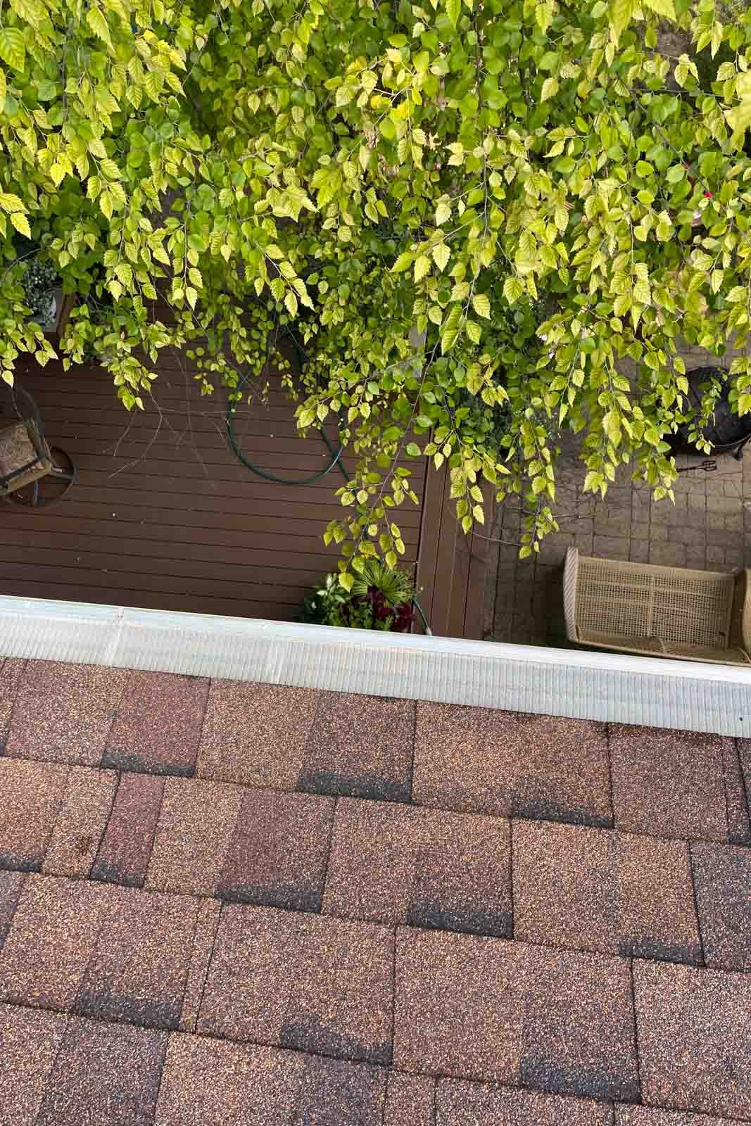 Are Gutter Guards Worth It Before Winter