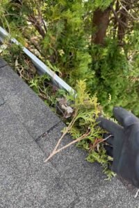 gutter cleaning Naperville Aurora IL clean gutter after debris removal