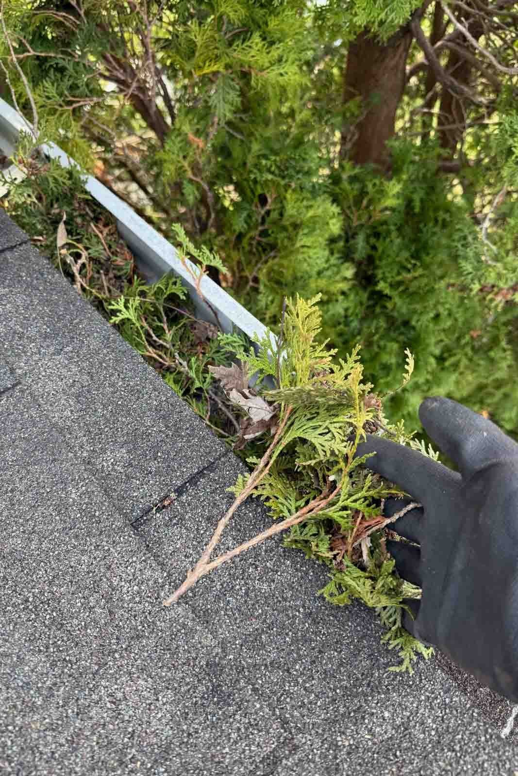gutter cleaning Naperville Aurora IL clean gutter after debris removal