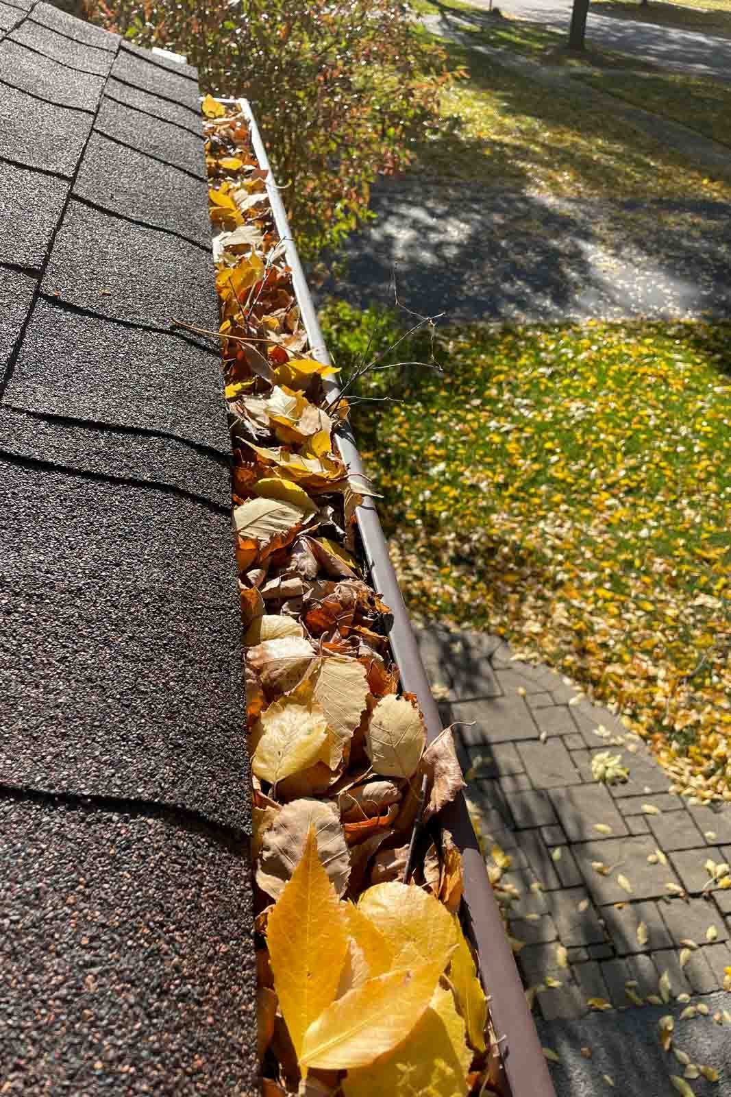 gutter cleaning Wheaton Westmont IL clogged gutter clearing service
