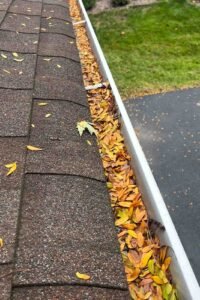 gutter cleaning Plainfield Lisle IL leaf filled gutter before cleaning