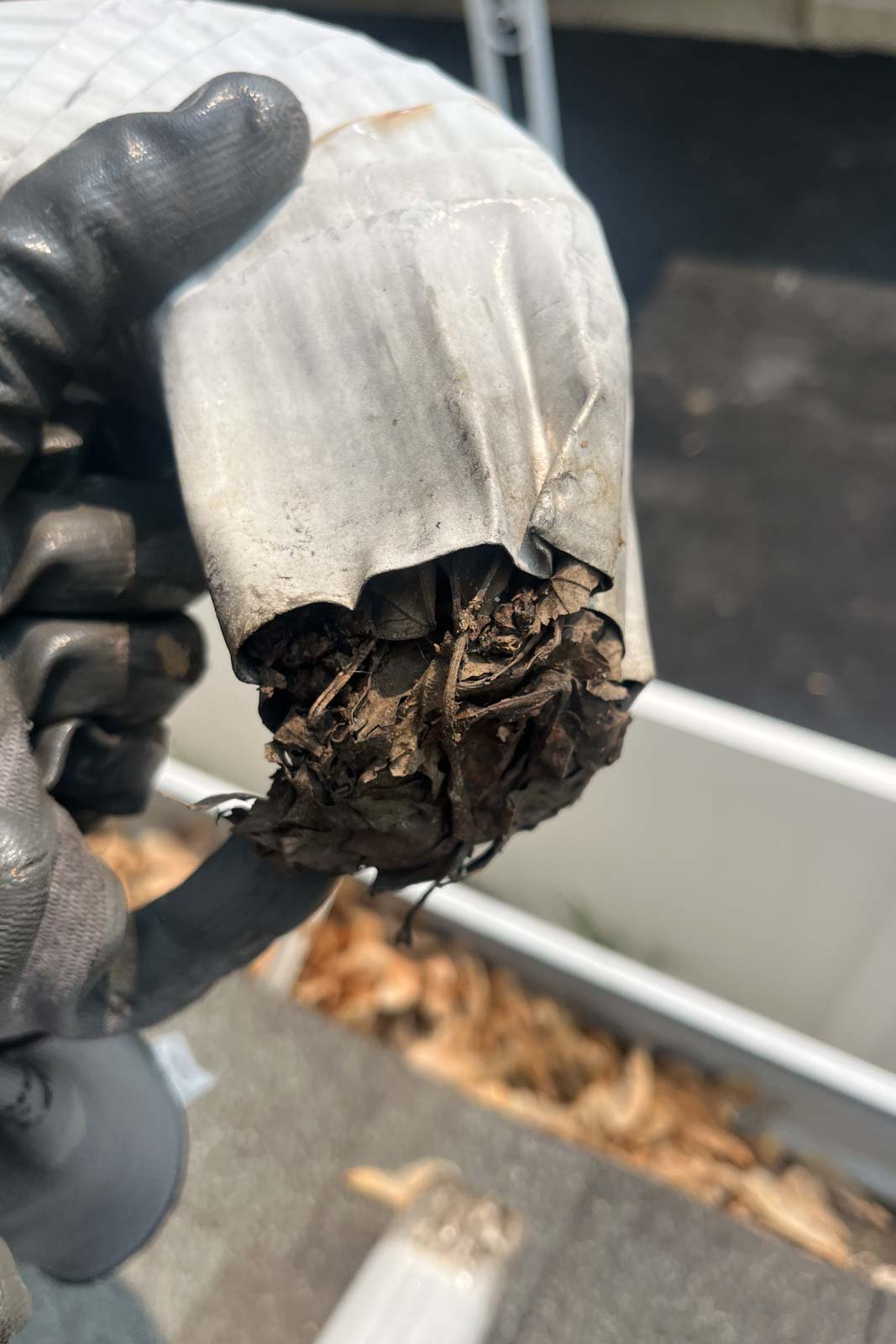 fall gutter cleaning removes leaf debris from a Naperville-area home.