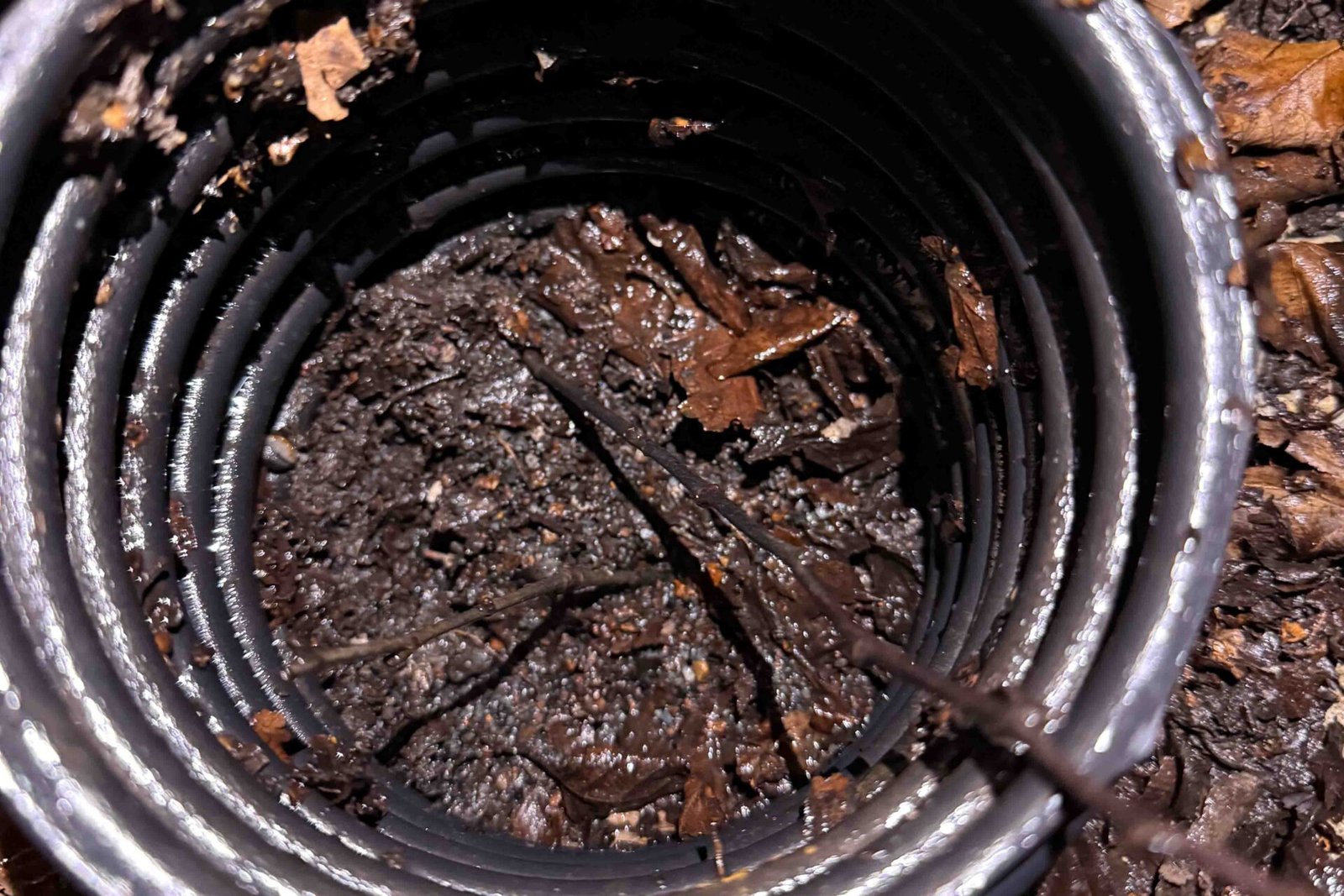 clogged underground drains french drains